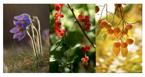 斑斕色彩 斑斕色彩